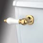 Elements Of Design Porcelain / Oak Tank Lever from the Made to Match Collection Polished Brass