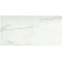Emser Tile Visconde - 12" x 24" Floor and Wall Tile - Polished Visual - Sold by Carton (15.5 SF/Carton) Oro