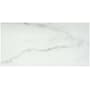 Emser Tile Visconde - 12" x 24" Floor and Wall Tile - Matte Visual - Sold by Carton (15.5 SF/Carton) Silver
