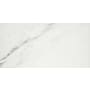 Emser Tile Sculpture - 12" x 24" Rectangle Walls Tile - Matte Visual - Sold by Carton (10.16 SF/Carton) Venato