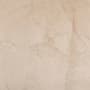 Citadel Beige