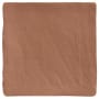 Emser Tile Sample Only of W21HUES-0404 Brown
