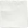 Emser Tile Sample Only of W21HUES-0404 White