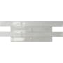 Emser Tile Sample Only of W32RAKU0312 Silver
