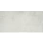Emser Tile Sample Only of F02REAL1224 District