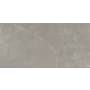 Emser Tile Sample Only of F20STER2424P Dove