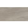 Emser Tile Sample Only of F16TECH1224 Dove