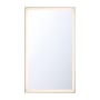 Eurofase Lighting Lenora 54" W x 32" H Modern Rectangular Bathroom Wall Mirror with LED Lighting Gold