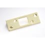 First Watch 1-1/4" x 3-5/8" Steel Security Deadbolt Strike Plate Polished Brass