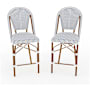 Flash Furniture Lily Pond 2 Piece Aluminum and Rattan Bar Counter Stool Set White and Navy / Natural
