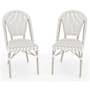 Flash Furniture Lily Pond 2 Piece Aluminum and Rattan Dinner Chair Set White and Gray / Gray