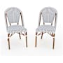 Flash Furniture Lily Pond 2 Piece Aluminum and Rattan Dinner Chair Set White and Navy / Natural