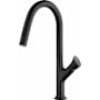 Fortis Cicero 1.8 GPM Single Hole Pull Down Kitchen Faucet Matte Black