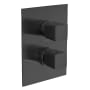 Fortis Abruzzo 2-Function Diverter Thermostatic Valve Trim Only with Double Knob Handle, Integrated Diverter, and Volume Control - Less Rough In Matte Black