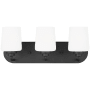 Generation Lighting Windom 3 Light 18" Wide LED Vanity Light Midnight Black