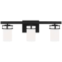 Generation Lighting Robie 3 Light 24" Wide LED Vanity Light Midnight Black