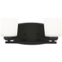Generation Lighting Franport 2 Light 13" Wide LED Vanity Light Midnight Black
