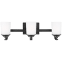 Generation Lighting Kemal 3 Light 24" Wide LED Vanity Light Midnight Black