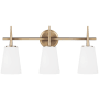 Generation Lighting Driscoll 3 Light 25" Wide LED Vanity Light Satin Brass