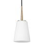 Generation Lighting Driscoll 5" Wide Mini Pendant Satin Brass