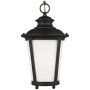 Generation Lighting Cape May 9" Wide LED Outdoor Mini Pendant Black
