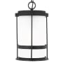 Generation Lighting Wilburn 8" Wide Outdoor Mini Pendant Black