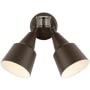 Generation Lighting Double Light 22-1/2" Wide LED Outdoor Flood Light Antique Bronze