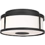 Generation Lighting Luning 13" Wide Flush Mount Drum Outdoor Ceiling Fixture Textured Black
