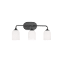 Generation Lighting Emile 3 Light 22" Wide LED Vanity Light Midnight Black