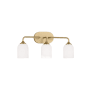 Generation Lighting Emile 3 Light 22" Wide LED Vanity Light Satin Bronze