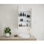Glass Warehouse Calla 24" x 36" Framed Double Door Medicine Cabinet Satin Brass