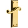 Grandeur Fifth Avenue Solid Brass Rose Left Handed Single Dummy Door Lever with Newport Lever Polished Brass