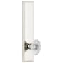 Grandeur Carre Solid Brass Tall Plate Rose Passage Door Knob Set with Biarritz Crystal Knob and 2-3/4" Backset Polished Nickel