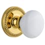 Grandeur Newport Solid Brass Rose Privacy Door Knob Set with Hyde Park Knob and 2-3/4" Backset Polished Brass