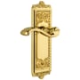 Grandeur Windsor Solid Brass Rose Right Handed Single Dummy Door Lever with Portofino Lever Lifetime Brass