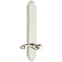 Polished Nickel