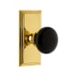 Grandeur Carre Solid Brass Rose Privacy Door Knob Set with Coventry Knob and 2-3/8" Backset Polished Brass