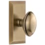 Grandeur Eden Prairie Solid Brass Non-Turning One-Sided Dummy Door Knob with Fifth Avenue Short Trim from the Concealed Screw Collection Vintage Brass