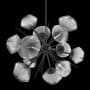Hammerton Studio Mesa 12 Light 30" Wide LED Abstract Sputnik Chandelier - 3000K Matte Black / Mesa Smoke