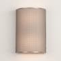 Metallic Beige Silver