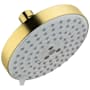 Hansgrohe Raindance S 2.5 GPM Multi Function Shower Head with AirPower and QuickClean Technologies - Limited Lifetime Warranty Brushed Gold Optic