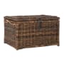 happimess Caden 30" Wide Wicker Collapsible Storage Trunk Brown