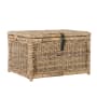 happimess Caden 30" Wide Wicker Collapsible Storage Trunk Natural