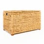happimess Anada 30" Wide Water Hyacinth and Wood Collapsable Trunk Beige