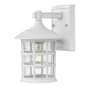 Hinkley Lighting Freeport 9" Tall Coastal Elements Outdoor Wall Sconce with Seedy Glass Shade Textured White