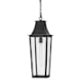 Hinkley Lighting Georgetown 9" Wide Mini Pendant / Converts to Semi-Flus Black