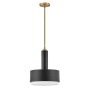 Hinkley Lighting Cedric 2 Light 13" Wide Pendant Black