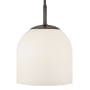 Hinkley Lighting Willa 12" Wide Pendant Black Oxide