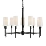 Hinkley Lighting Fenwick 9 Light 42" Wide Chandelier Black