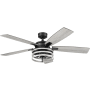 Honeywell Ceiling Fans Carnegie 52" 5 Blade Indoor LED Ceiling Fan Black / Industrial Shade